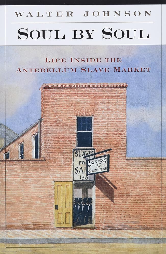 Soul by Soul: Life Inside the Antebellum Slave Market cover image