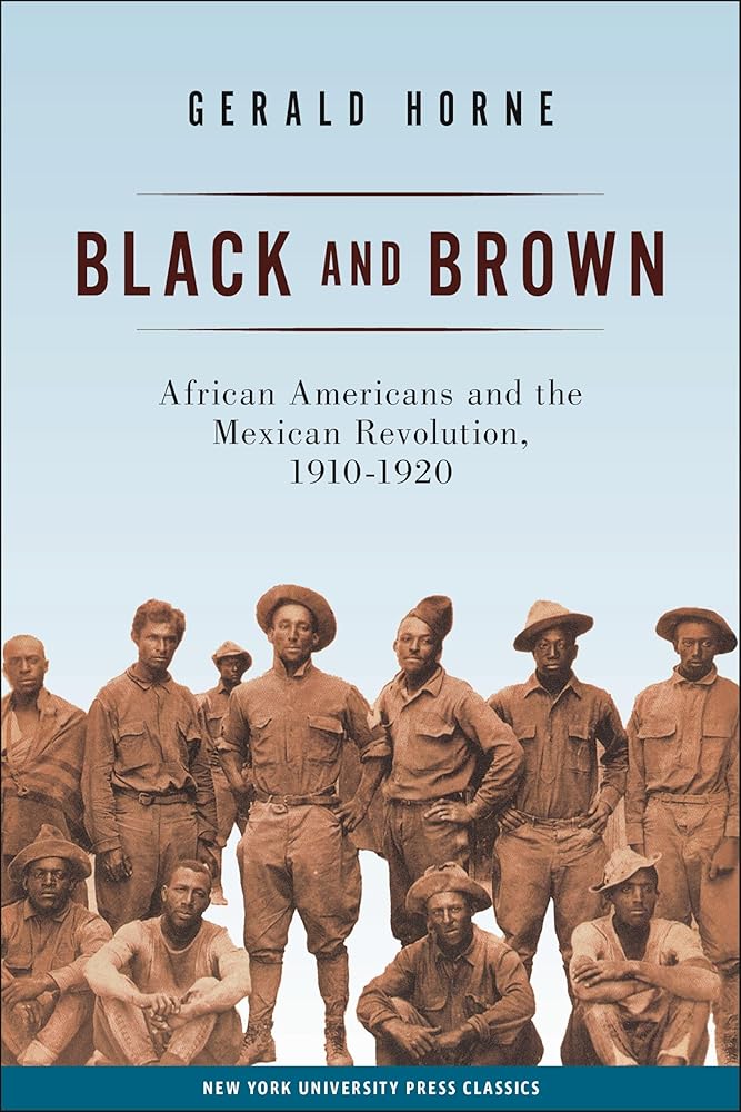 Black and Brown: African Americans and the Mexican Revolution, 1910-1920 (American History and Culture, 9) cover image