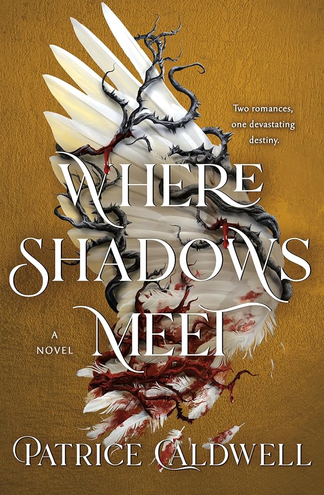PREORDER Where Shadows Meet A Novel Kindred Stories