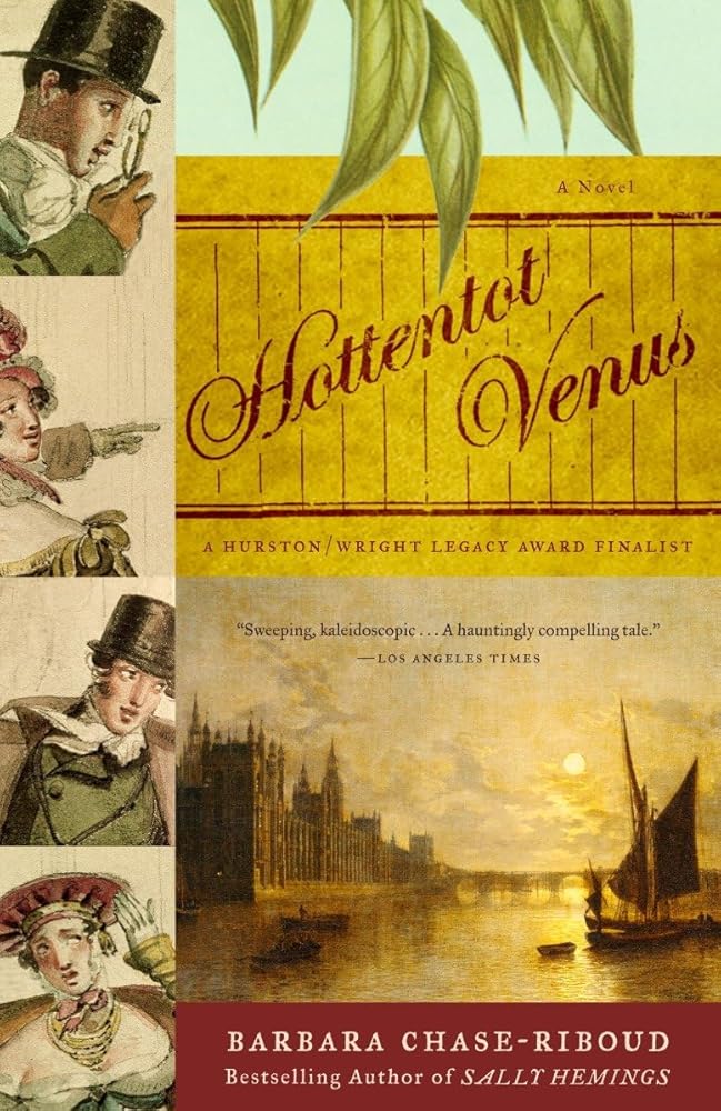 Hottentot Venus: A Novel cover image