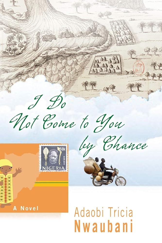 I Do Not Come to You by Chance cover image