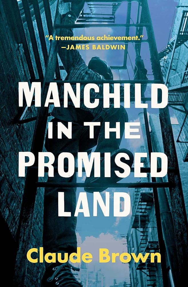 Manchild in the Promised Land cover image