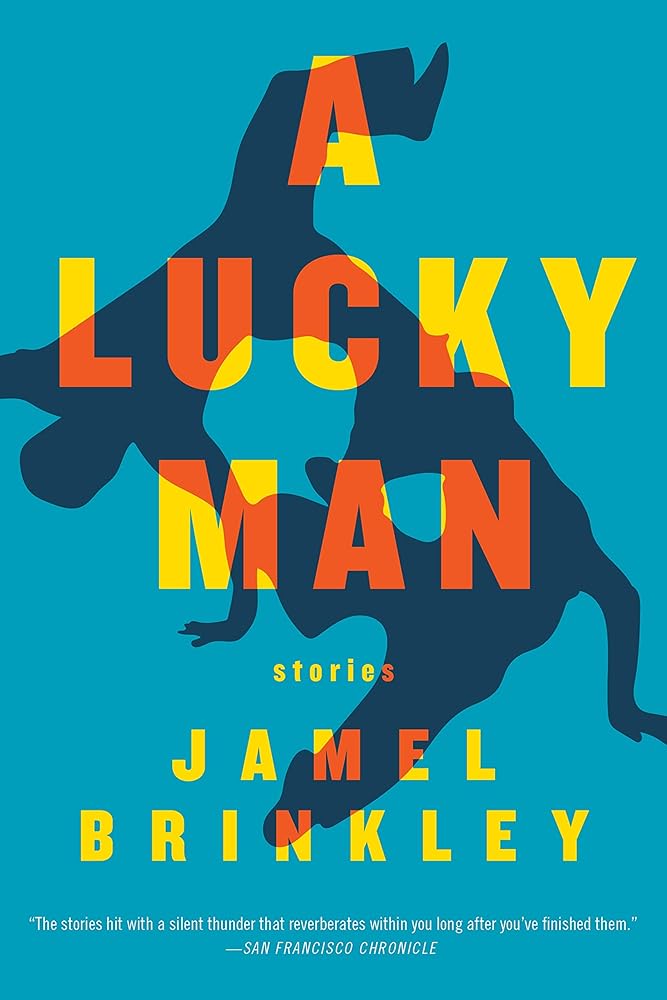 A Lucky Man: Stories cover image