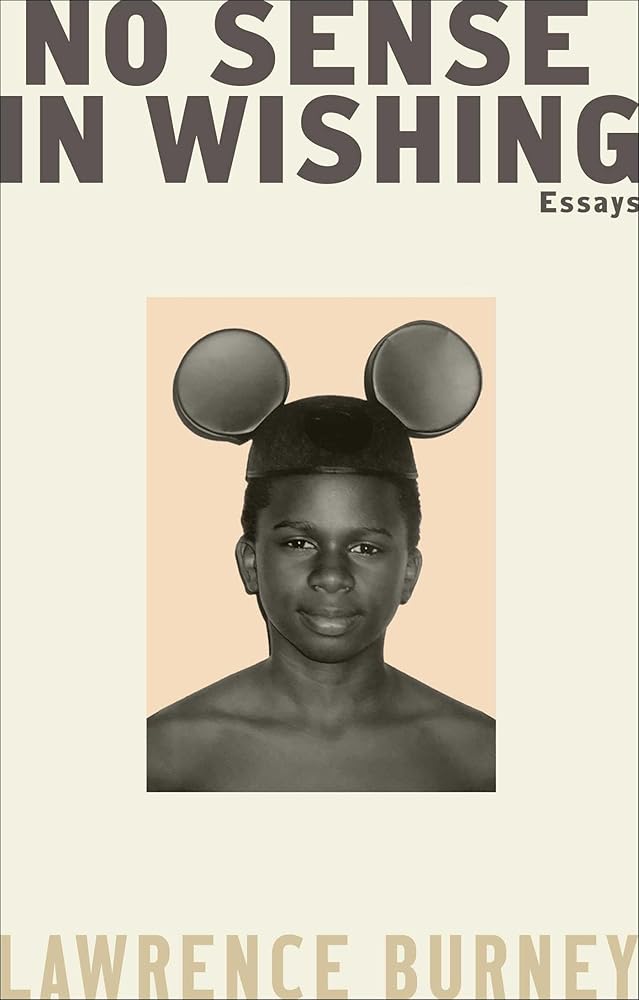 No Sense in Wishing: Essays cover image