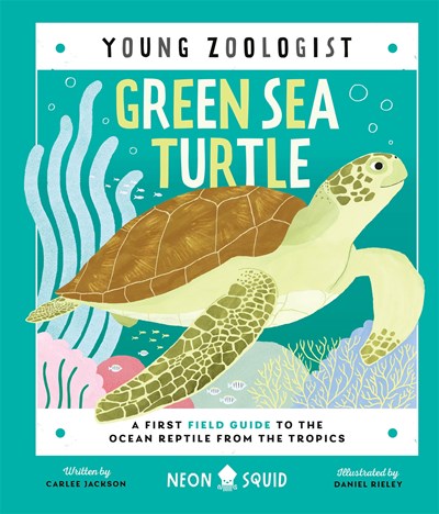 Green Sea Turtle (Young Zoologist): A First Field Guide to the Ocean Reptile from the Tropics by Carlee Jackson