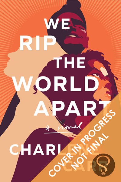 PRE-ORDER: We Rip the World Apart: A Novel