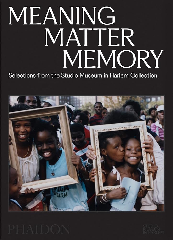 Meaning Matter Memory: Selections from the Studio Museum in Harlem Collection cover image