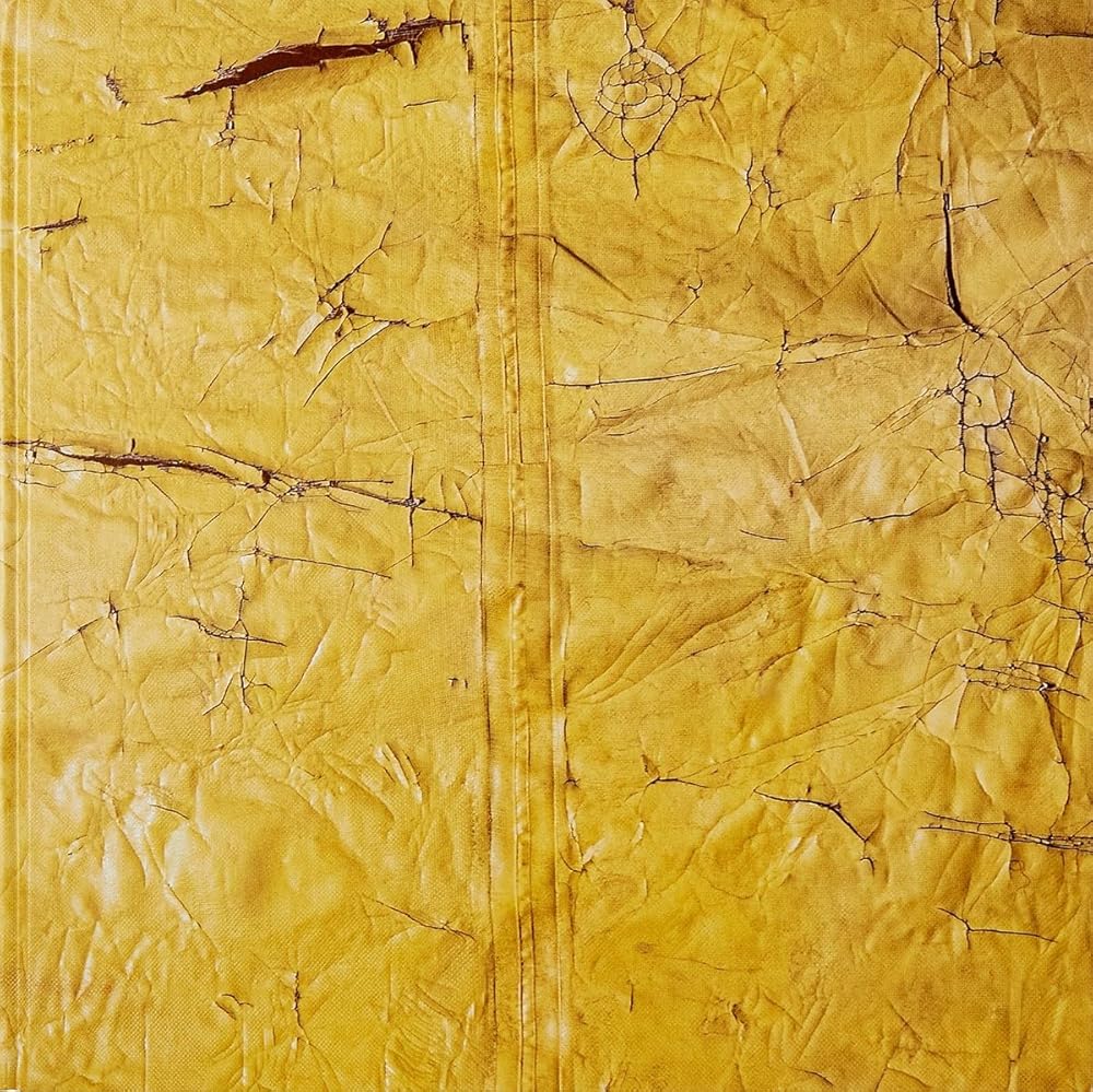 David Hammons cover image