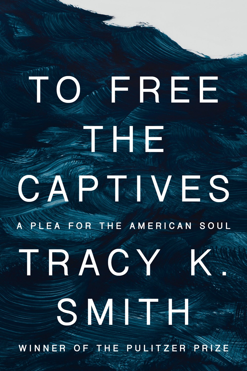 PRE-ORDER: To Free the Captives: A Plea for the American Soul