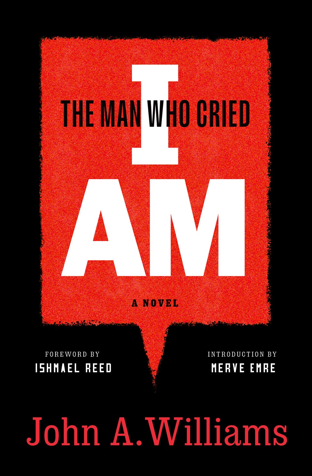 PRE-ORDER: The Man Who Cried I Am: A Novel
