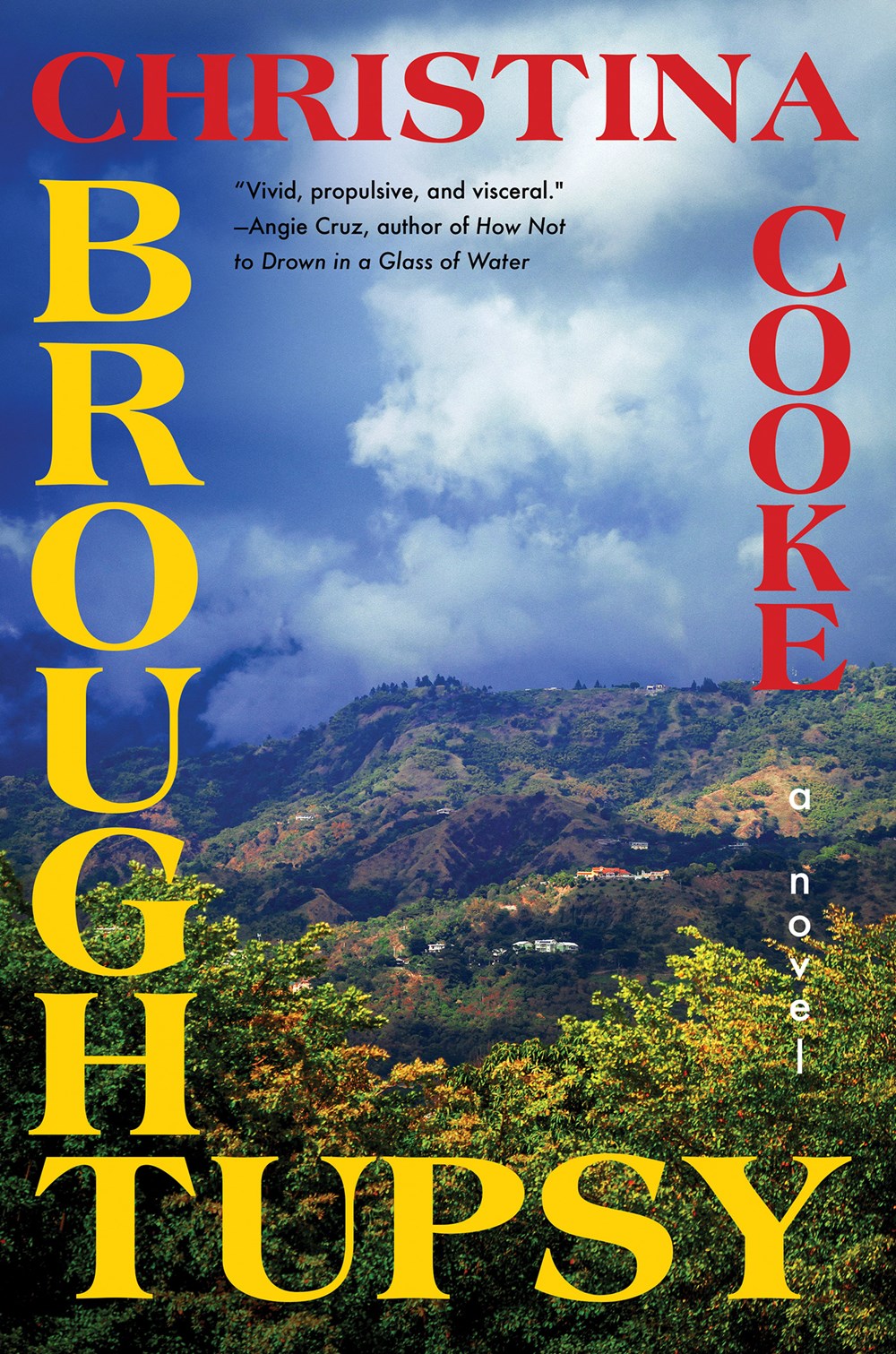 PRE-ORDER: Broughtupsy: A Novel